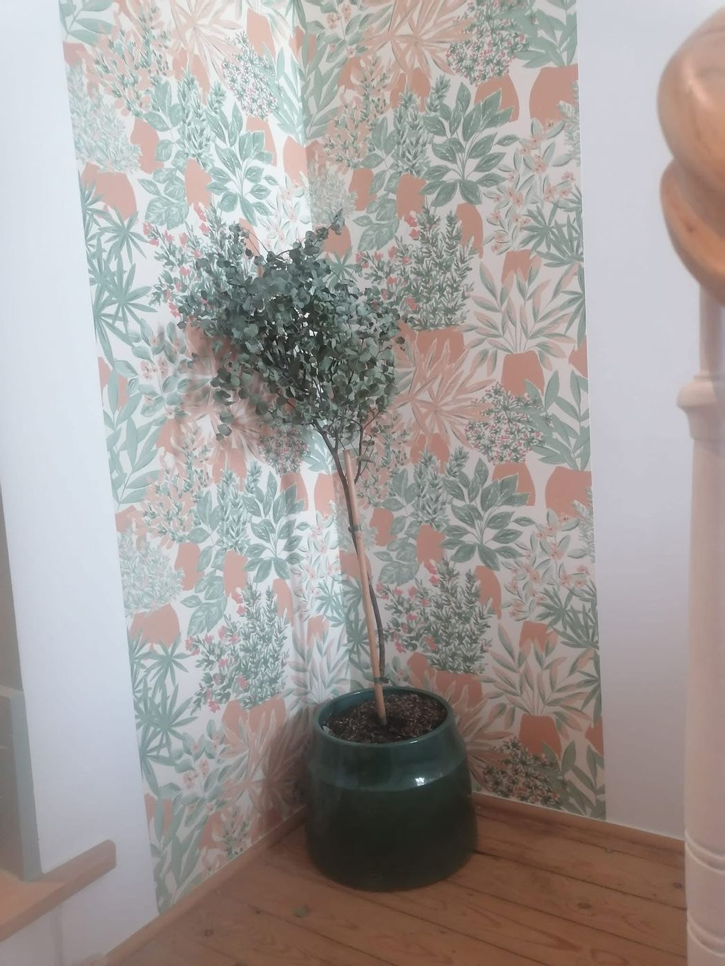 Papier peint floral corail et vert