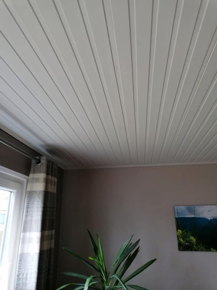 Plafond lambris et mur taupe repeints